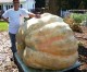 Local man grows prizewinning pumpkins