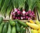 Berkshire Organics named top grocer